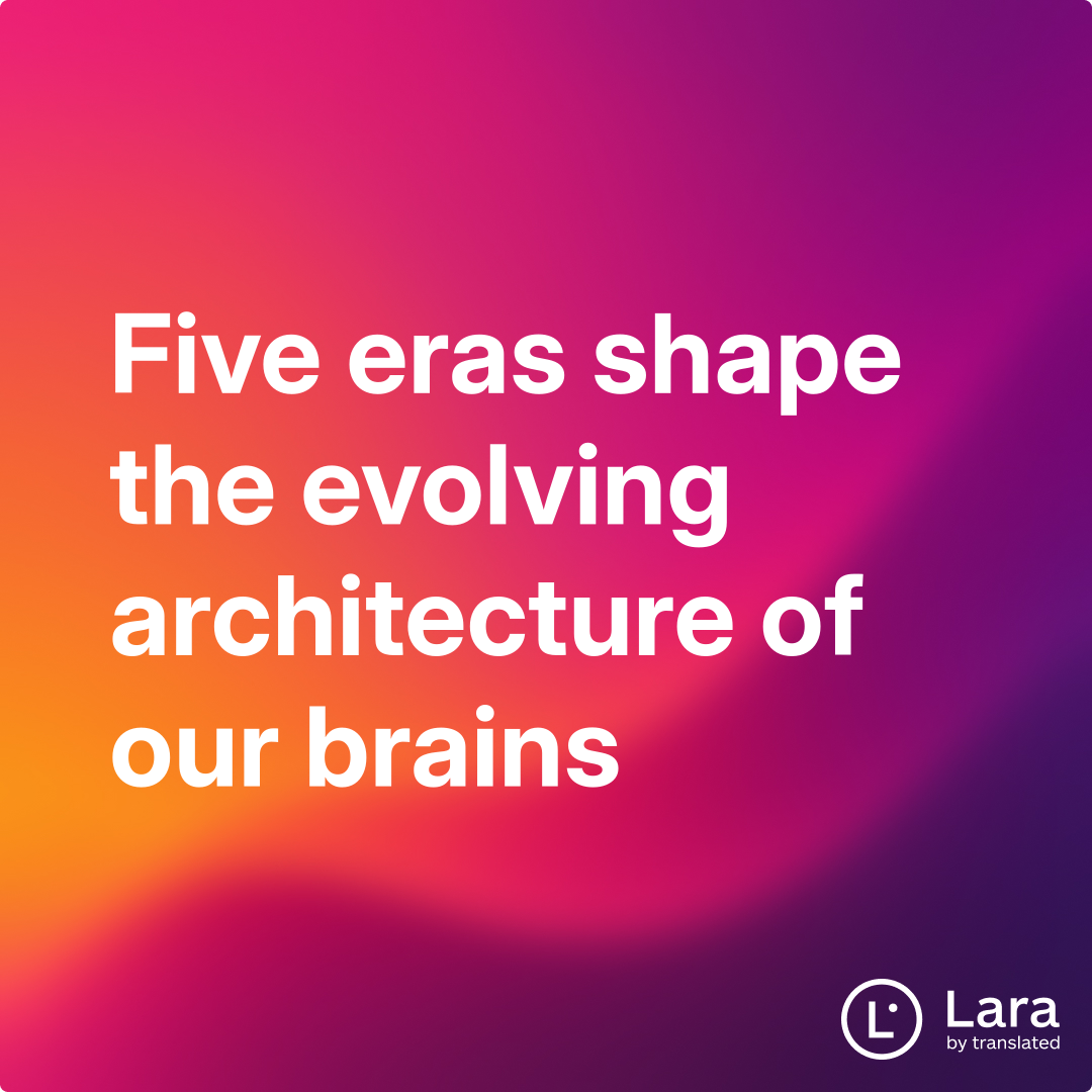 Five eras shape the evolving architecture of our brains | Lara Notes